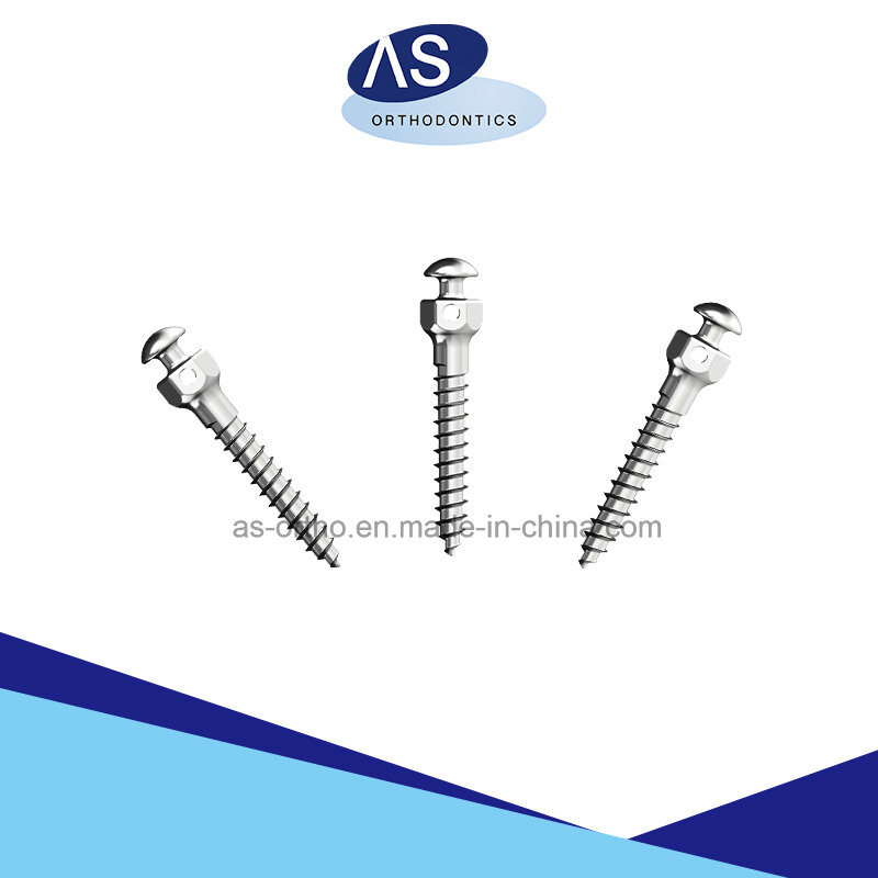 Orthodnitc Micro Screw Implant