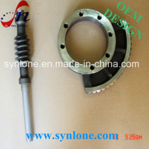 Customized Worm Wheel and Worm Shaft