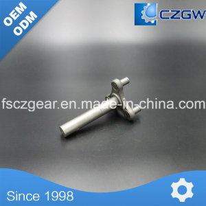 Gear Box/Sped Reducer Worm Wheel/Gearbox Worm Wheel Spare Part