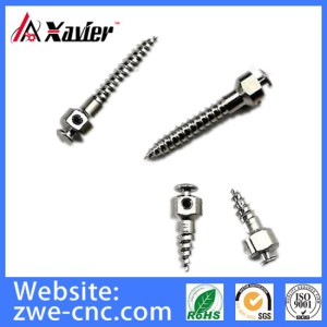 Titanium Orthodontic Micro Implant Dental Micro Screw